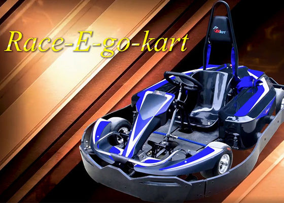 Vermaakpark Mini Racing Go Karts 4KW Vriendschappelijke Eco