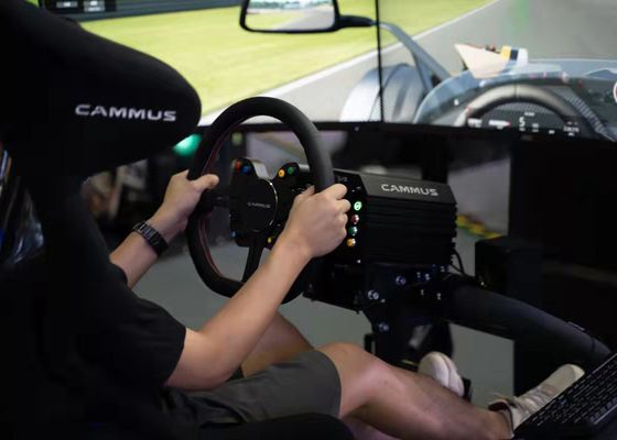 Het Spel van de Cammus Ergonomische 15Nm Auto het Rennen Simulatorcockpit