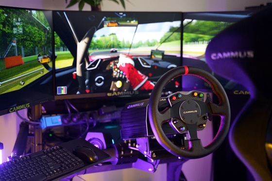 De Jonge oswiel van PC Rig Simulator Racing Game Machine met Pedaal