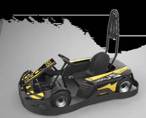 Het Elektrogo-kart van Karting van het jonge geitjespedaal, 750w Volwassen Mini Go Kart